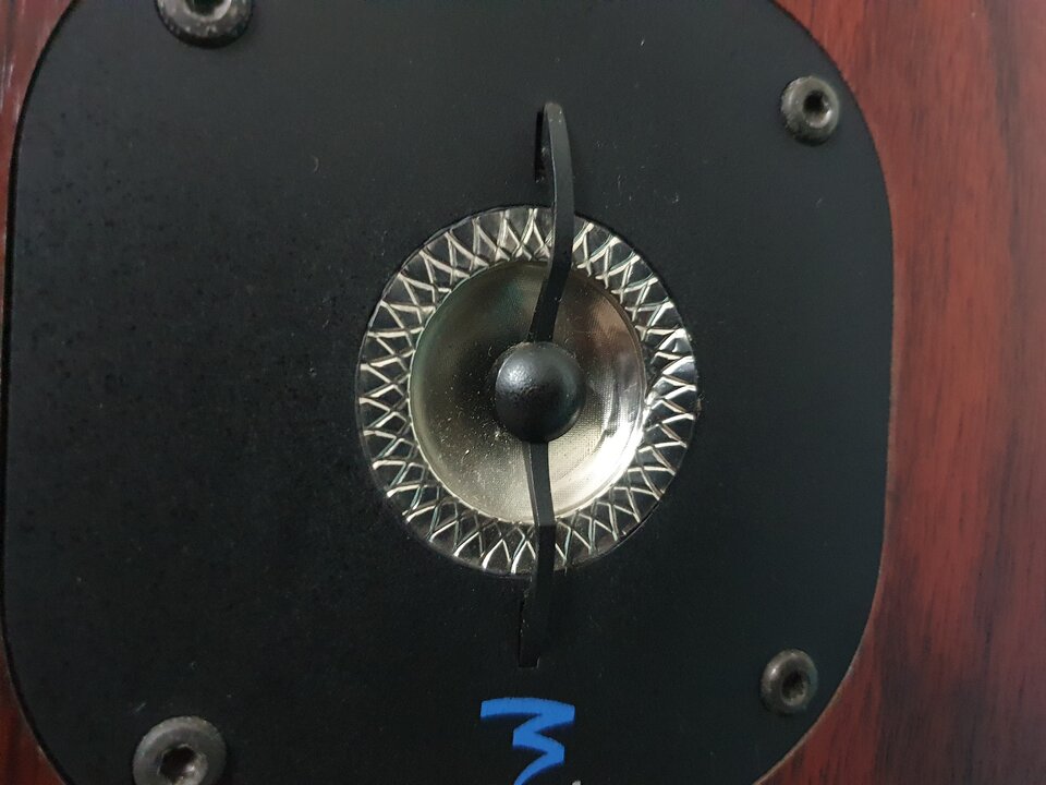 20210412_175442.jpg