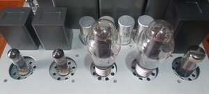 20230123_122131.jpg
