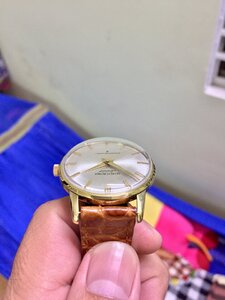 17883731-5986-4C04-B5C1-07BDA0968A74.jpeg
