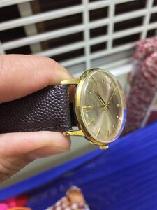 16380E6D-9FF5-4DFF-8D88-B71388DE2248.jpeg