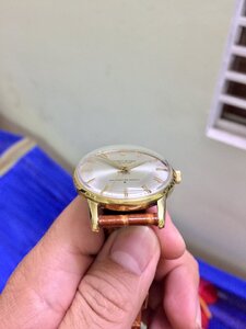 C005AFAA-97B8-4E25-86CE-95A254D2CAA7.jpeg