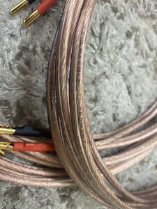 3356342D-CDD9-48EC-8962-83FFC940BD00.jpeg