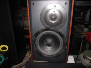 IMG_0704 (600 x 450).jpg