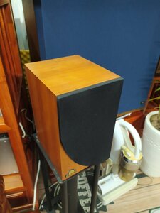 IMG_20230315_180414.jpg