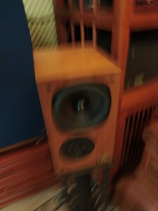 IMG_20230315_205341_1.jpg