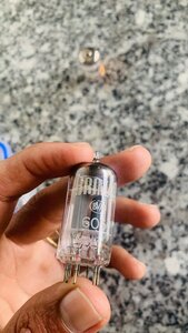 IMG_4110.jpeg
