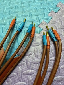 IMG_6621.jpeg