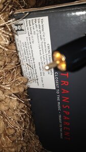 Transparent AV 4.jpg