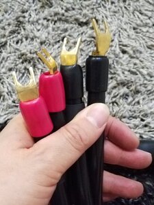20230502_183000.jpg
