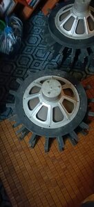 IMG20230601100543.jpg