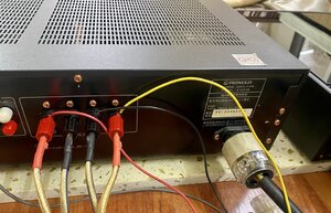 IMG_8594.jpeg