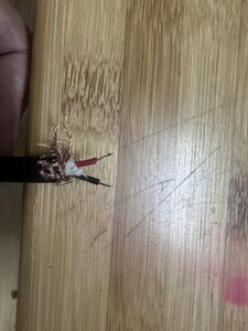 IMG_0273.jpeg