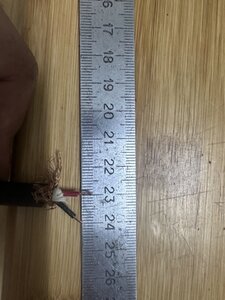 IMG_0276.jpeg