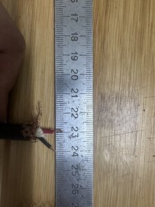 IMG_0275.jpeg