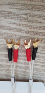 20230720_121742.jpg