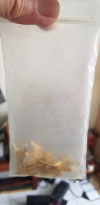 20230626_092610.jpg
