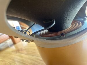 IMG_1323.jpeg