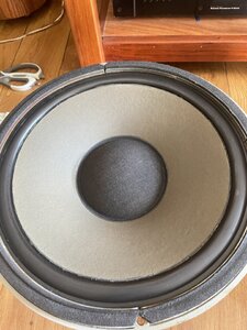 IMG_1312.jpeg