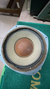 IMG_4807.jpeg
