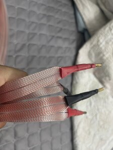 z4717683604988_851d730b80aec0d689bae8875e06ff36.jpg