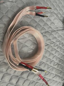 z4717683612382_b4db7648095042010025bd944eb9018f.jpg