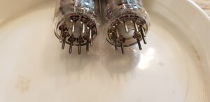 20231020_065643.jpg