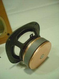 P6.jpg