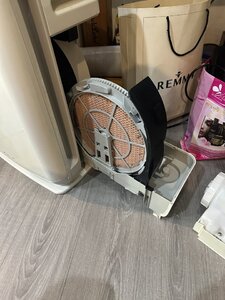 IMG_0420.jpeg