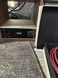 IMG_6804.jpeg