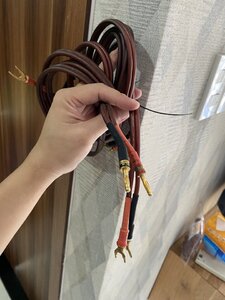 IMG_8926.jpeg