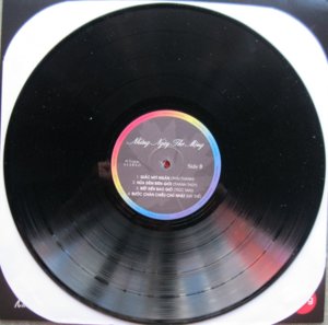 LP-NHUNG NGAY THO MONG-180-G (3).JPG