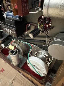 IMG_1041.jpeg
