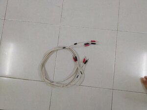 IMG_20240107_123122.jpg