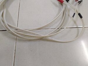IMG_20240107_123133.jpg