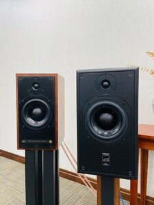 IMG_9644.jpeg