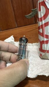 IMG_2781.jpeg