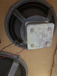 IMG_0262.jpeg