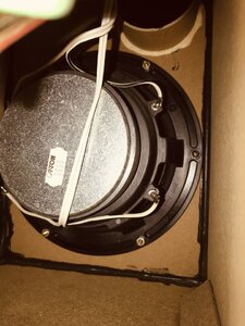 2CAD6CAA-C767-4167-ABD7-CF2975F4791F.jpeg