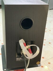 IMG_5492.jpeg