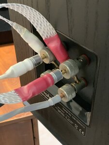 IMG_5489.jpeg