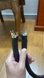 IMG_7697.jpeg