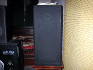 IMG_1429.jpg