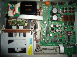 DSC01929 (600 x 450).jpg