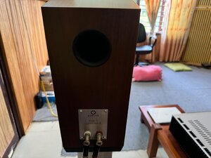 IMG_2080.jpeg