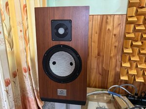 IMG_2081.jpeg