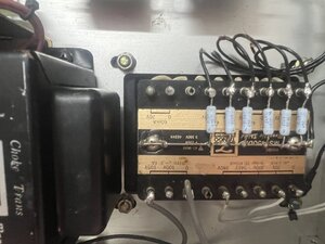 IMG_4436.jpeg