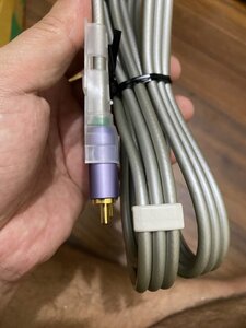 IMG_3629.jpeg