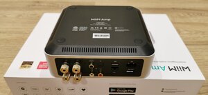 Wiim Amp, mini, Pro (20).jpg