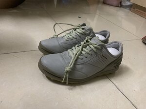 IMG_7370.jpeg
