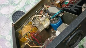 DSC_0816.jpg